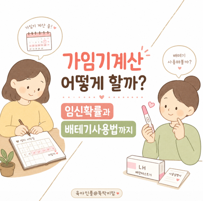 가임기계산 어떻게 할까? 임신확률과 배테기사용법까지