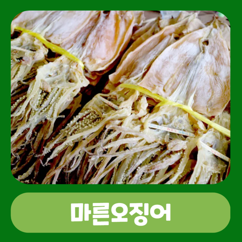 마른오징어 부드럽게 굽기 칼로리 보관법