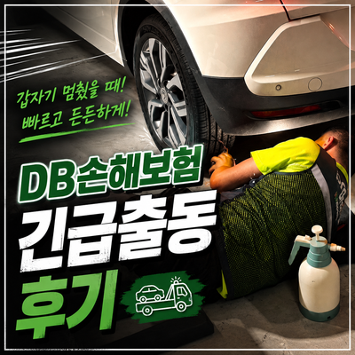 의정부 DB손해보험 긴급출동 후기｜타이어 지렁이 수리