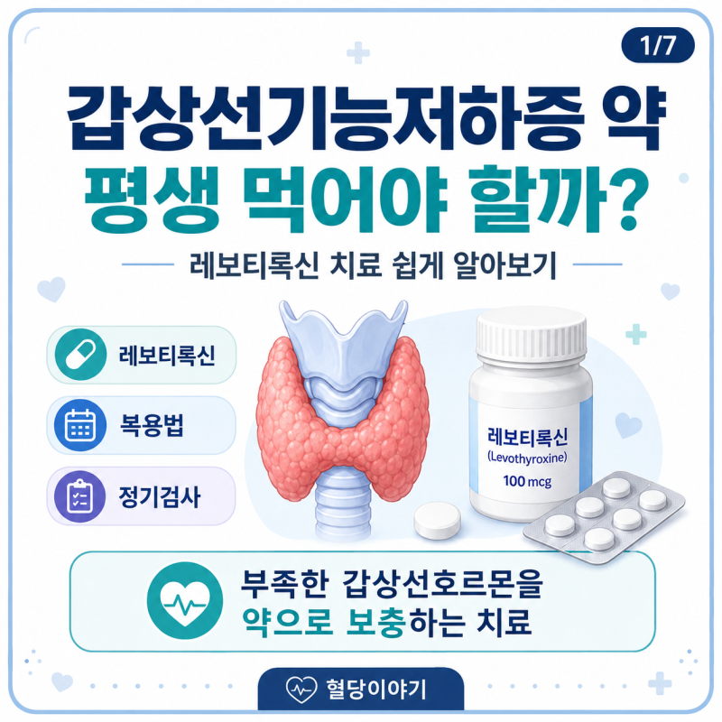 갑상선기능저하증 약은 평생 먹어야 할까? 레보티록신 치료 알아보기