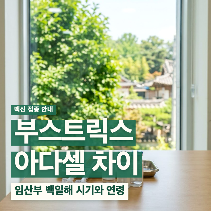 부스트릭스 아다셀 차이 임산부 백일해 접종 시기 확인