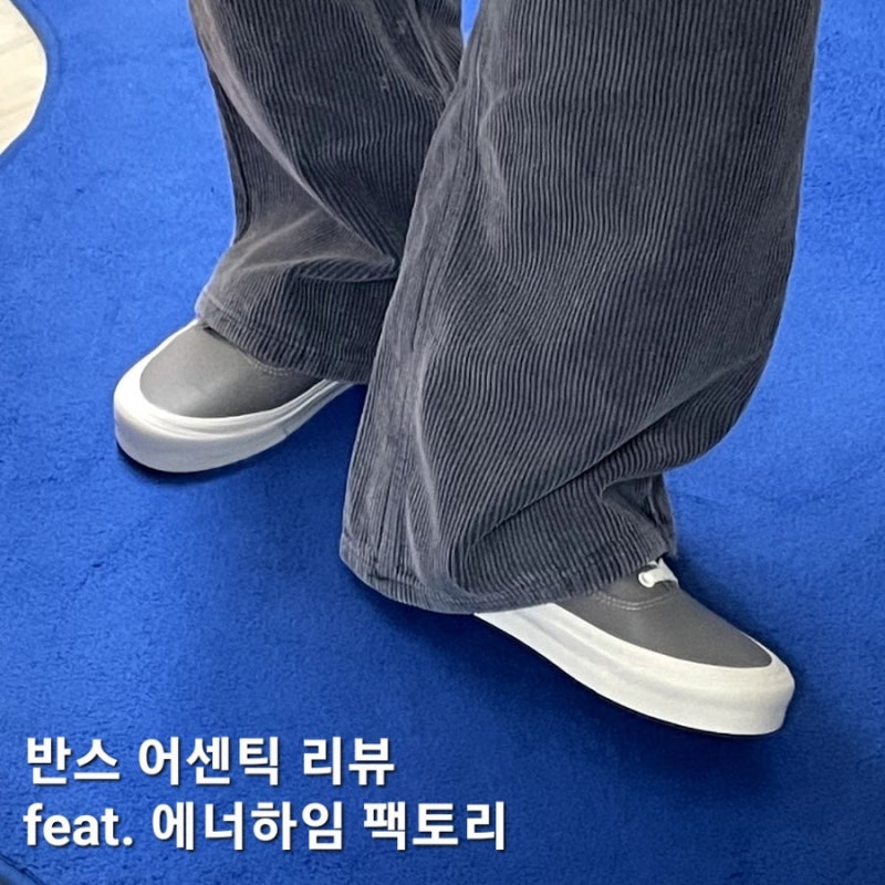 근본 덱슈즈 반스 어센틱 레더 리뷰 feat. 에너하임팩토리