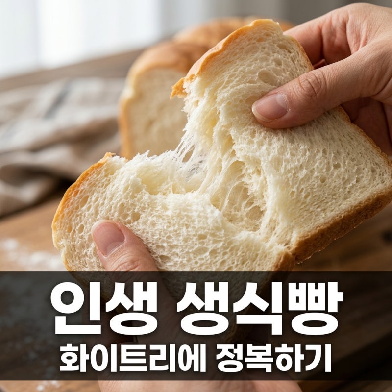 화이트리에 생식빵 추천 사이즈와 맛있게 먹는 법 (초코식빵 포함)