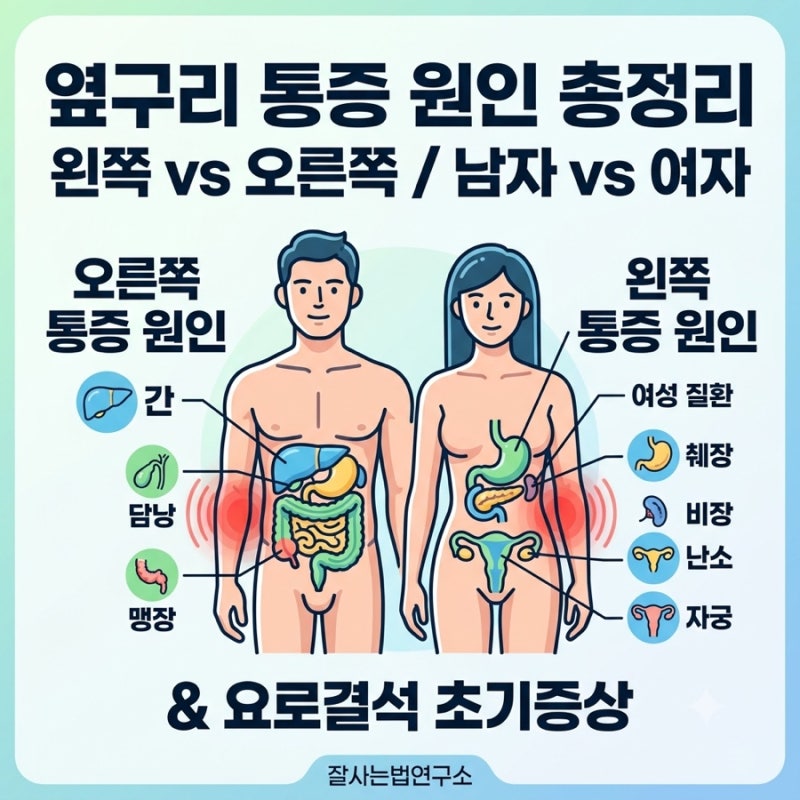 [옆구리 통증 원인] 여자 남자 왼쪽 오른쪽 의심 질환 총정리