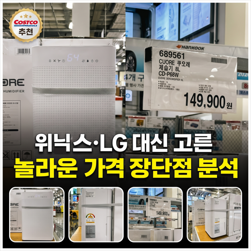 나만 몰랐나, 코스트코에 있던 이 제습기