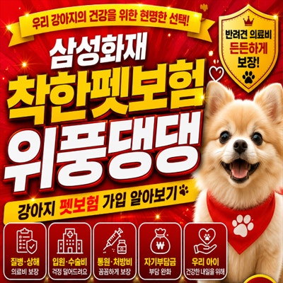 삼성화재 착한펫보험 위풍댕댕 강아지 펫보험 가입 알아보기