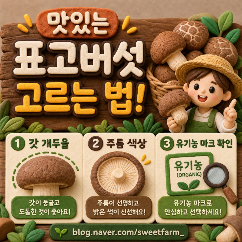 맛있는 표고버섯 고르는 법! 갓 개두율·주름 색상·유기농 마크 확인 팁