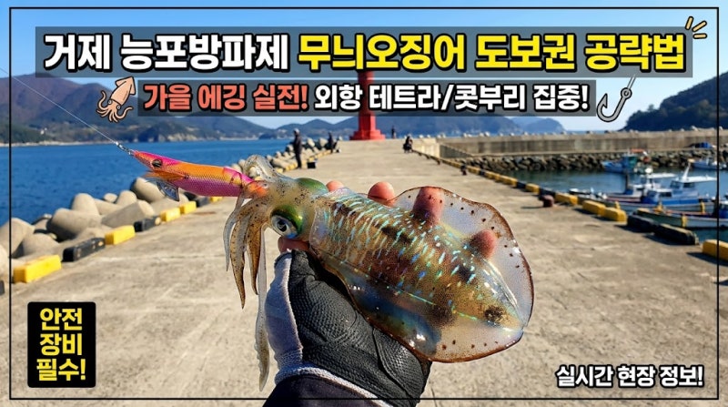 거제도 무늬 오징어 포인트 도보권 방파제 공략법
