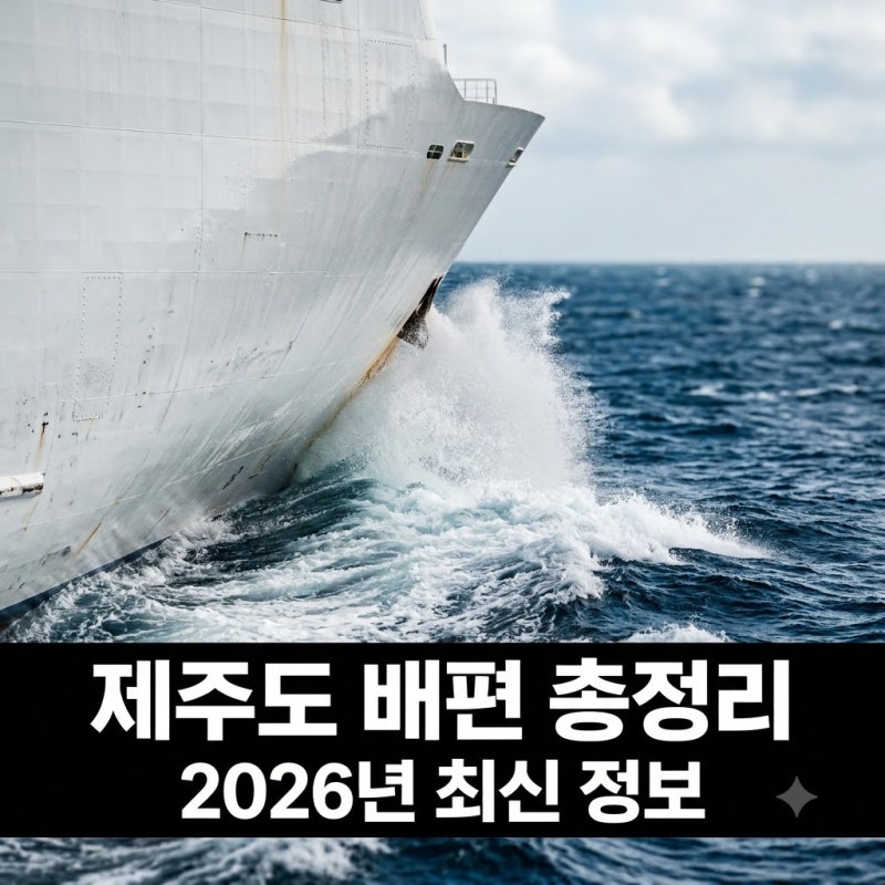 "내 차 타고 갈까?".. 제주도배편 부산항 중단 소식과 2026년 최신 정보