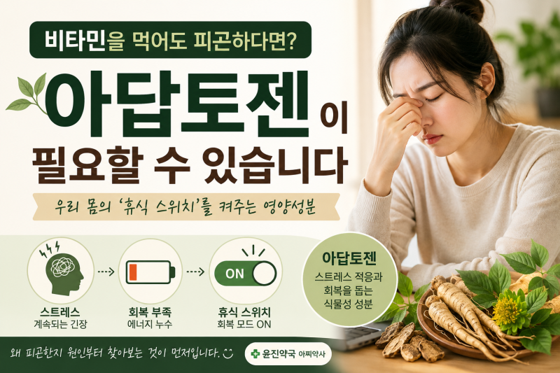아답토젠이란? 비타민을 먹어도 피곤할 때 추천하는 스트레스·수면 영양제