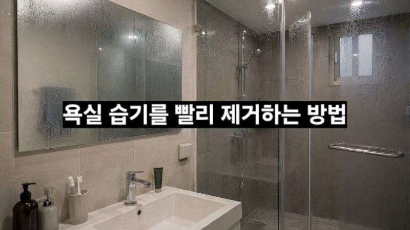 욕실 습기를 빨리 제거하는 방법