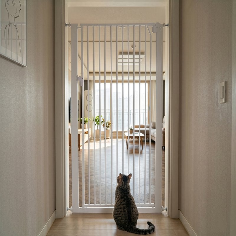 아토주 가두리 v2 150cm 고양이 방묘문, 드디어 평화가 왔어요