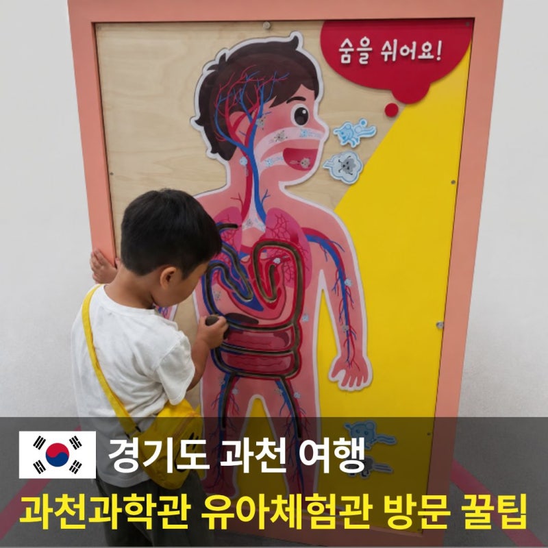 국립 과천과학관 유아체험관 예약 주차 및 7세 방문 후기