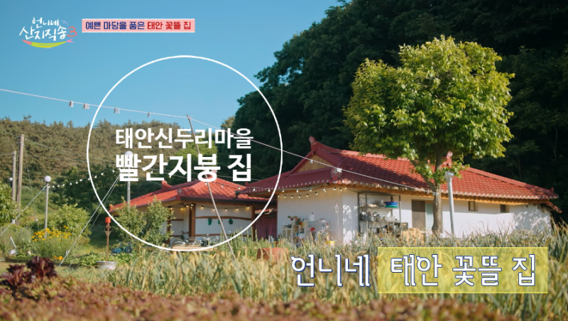 [언니네산지직송3] 태안신두리마을 빨간지붕숙소시골집 상세위치 백천만리포해변등대 조개....