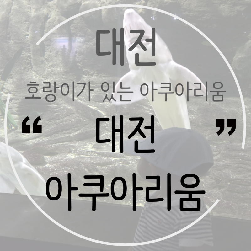대전여행 아이와 갈만한곳 추천｜대전아쿠아리움 솔직 방문 후기