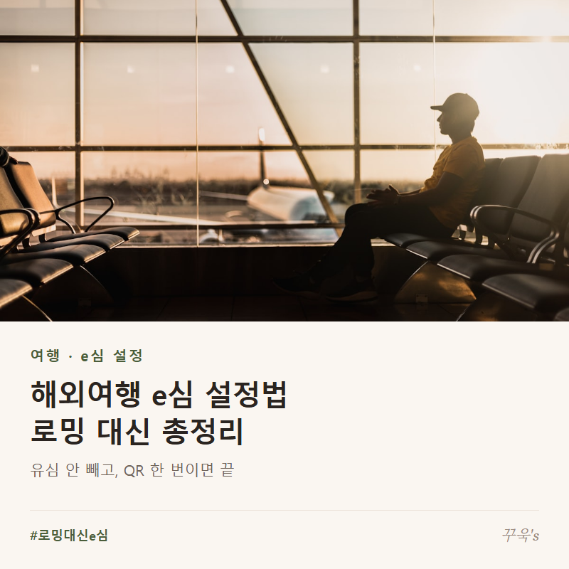 로밍 대신 해외여행 e심 설정법, 총정리