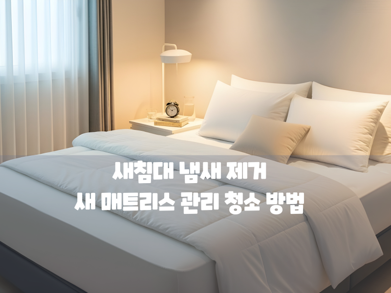 새침대 냄새 제거 머리 아프셨죠? 새 매트리스 관리 청소 방법 완벽 가이드!