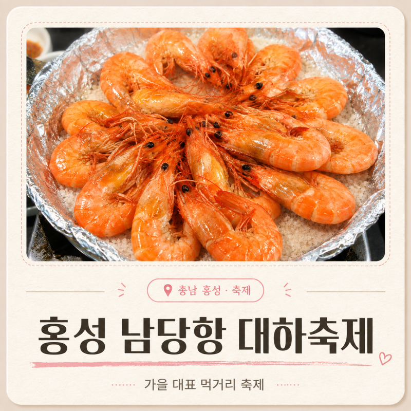 2026 홍성 남당항 대하축제 | 남당리대하축제 빈예서·박현빈 공연·라인업·대하정찰제·대하....