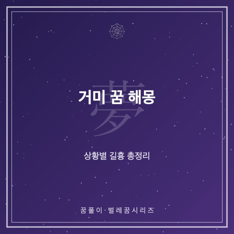 거미 꿈 해몽 - 상황별 길흉 총정리