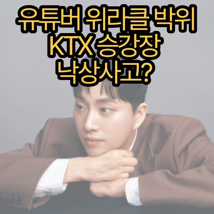 "12년 만에 처음..." <b>박위 KTX</b> 승강장 <b>낙상사고</b>, 대체 무슨 일이 일어난....