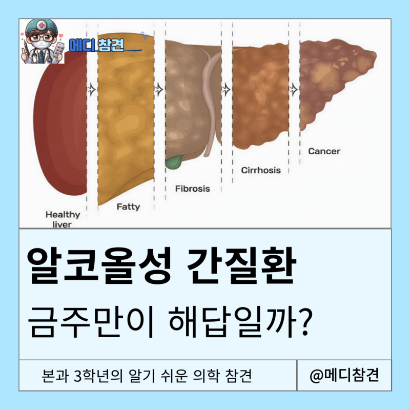 알코올성 지방간 간염 간경변증 alcoholic fatty liver hepatitis cirrhosis