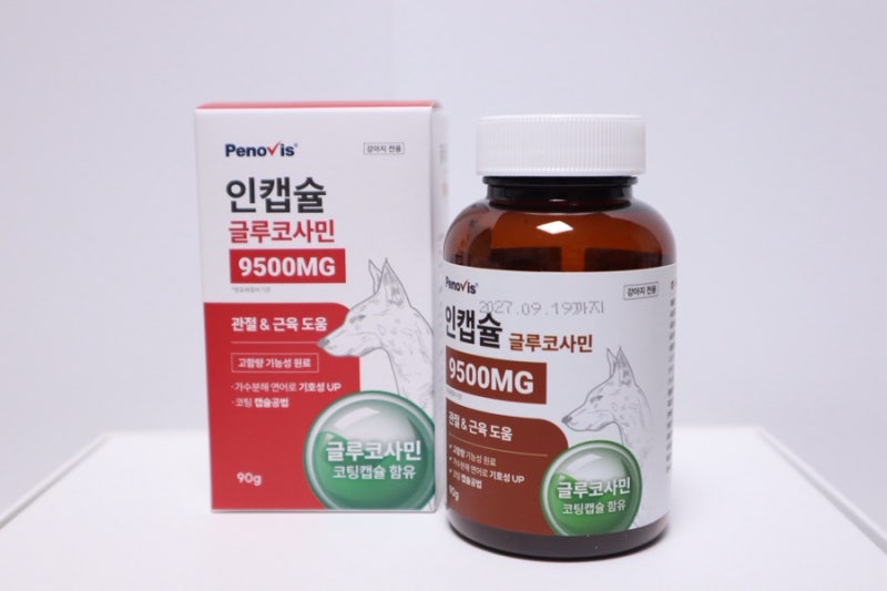 11살 강아지 솔이에게 먹이는 관절&근육 영양제 페노비스 인캡슐 글루코사민