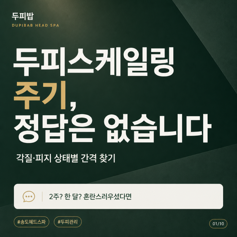 [두피밥인천점] 두피스케일링 주기, 각질·피지 상태별로 다릅니다 (내 두피에 맞는 관리 간....