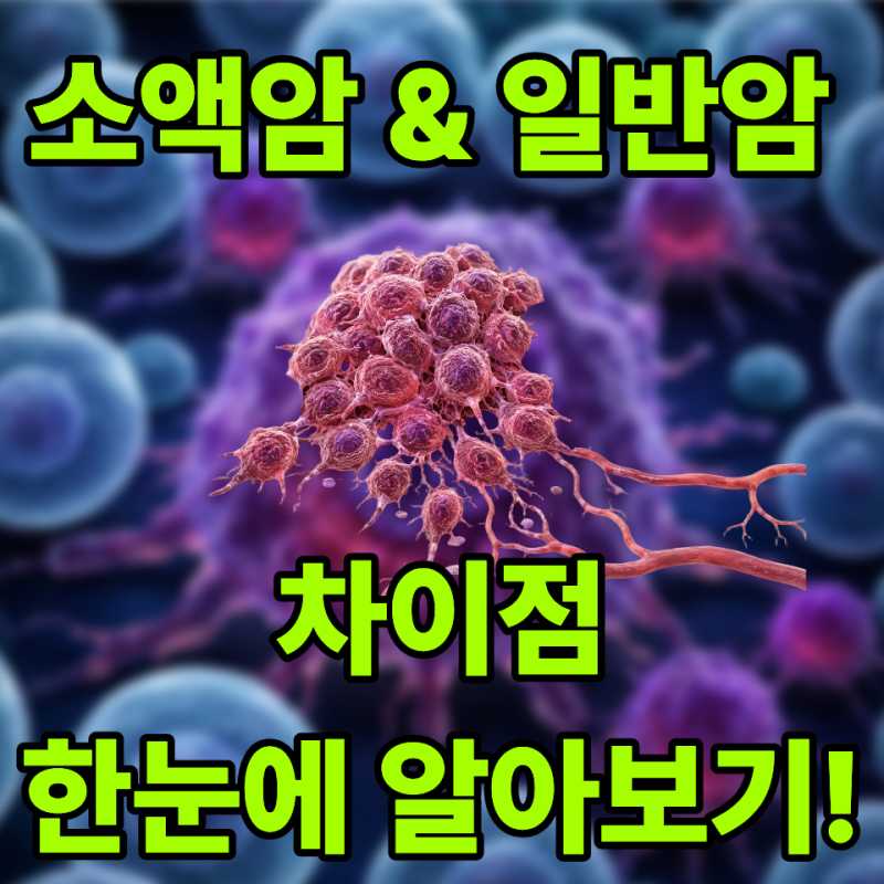 "암은 다 똑같은 거 아니었어?" 헷갈리기 쉬운 소액암 및 유사암 기준 총정리