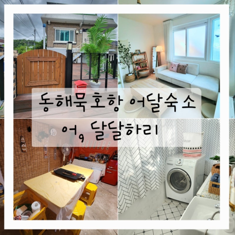 동해 묵호항 어달해수욕장 펜션/ 어,달달하리 아이와 가기좋은 깔끔완벽 숙소