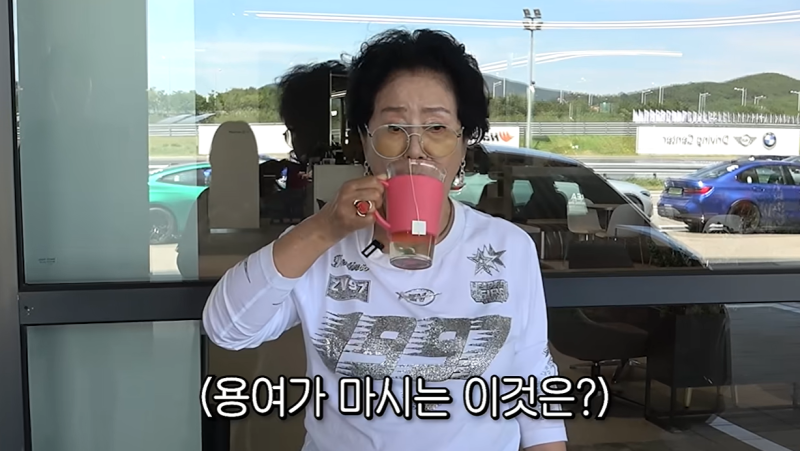 선우용여가 마시는 방패차 뭐길래? 돼지감자·여주·바나바잎 차 알아봤어요