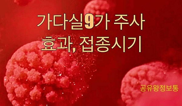 가다실9가 주사 남자 효과, 접종시기-가정의학과 실무자가 알려드려요!