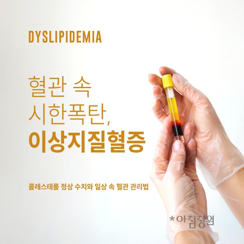 소리 없는 시한폭탄 '이상지질혈증', 숫자로 보는 내 혈관 성적표와 관리법 | 아침정원의원