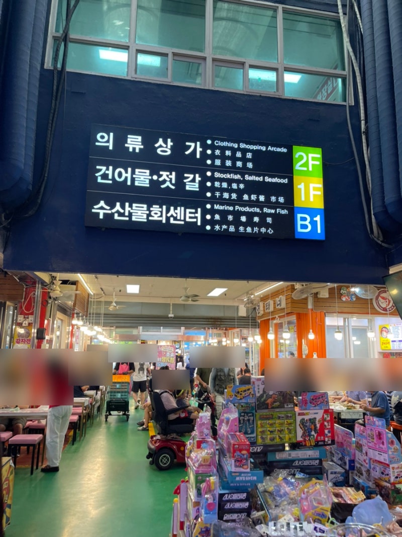 속초관광수산시장 횟집 진미활어센터 포장시 더 저렴해요