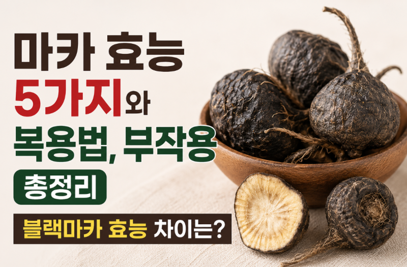 마카 효능 5가지와 복용법, 부작용 총정리 블랙마카 효능 차이는?