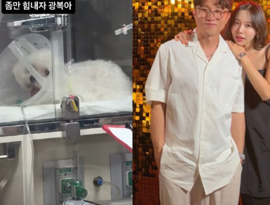박성광♥이솔이, 결국 눈물…반려견 두 마리 동시에 심장병 투병 “하늘도 무심하시지”