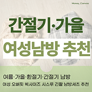 여름·가을·환절기·간절기 남방 : 여성 오버핏 빅사이즈 시스루 긴팔 남방셔츠 추천 (내돈내....