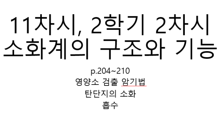 11차시, 2학기 2차시 소화계의 구조와 기능