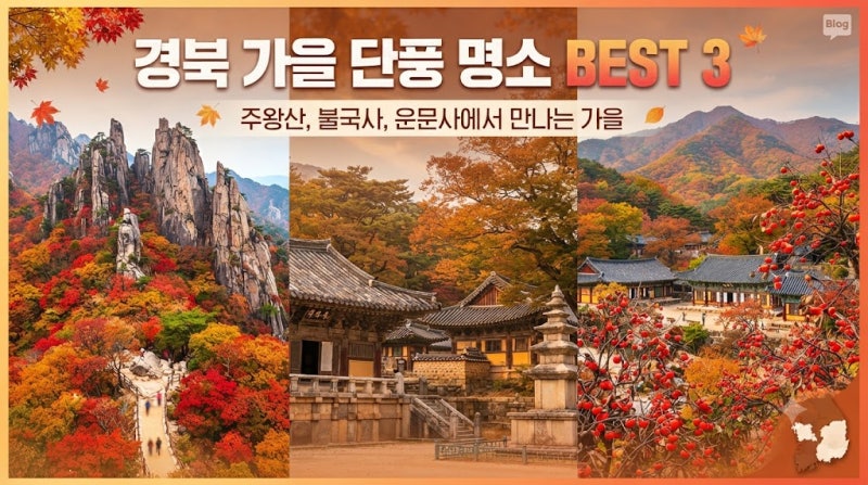 경북 가을 단풍 명소 BEST 3! 아이, 연인과 함께 꼭 가봐야 할 가을 여행지 추천