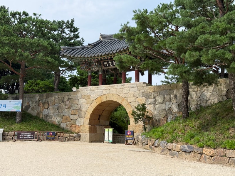 양양 낙산사 혼자 여행｜홍련암·의상대·해수관음상 여름 방문 후기