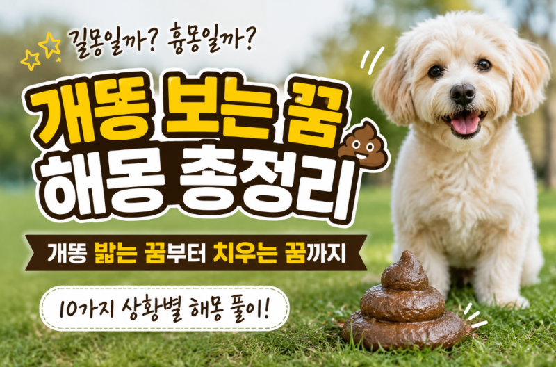개똥 보는 꿈 해몽 총정리 개똥 밟는 꿈부터 치우는 꿈까지 무슨 의미일까