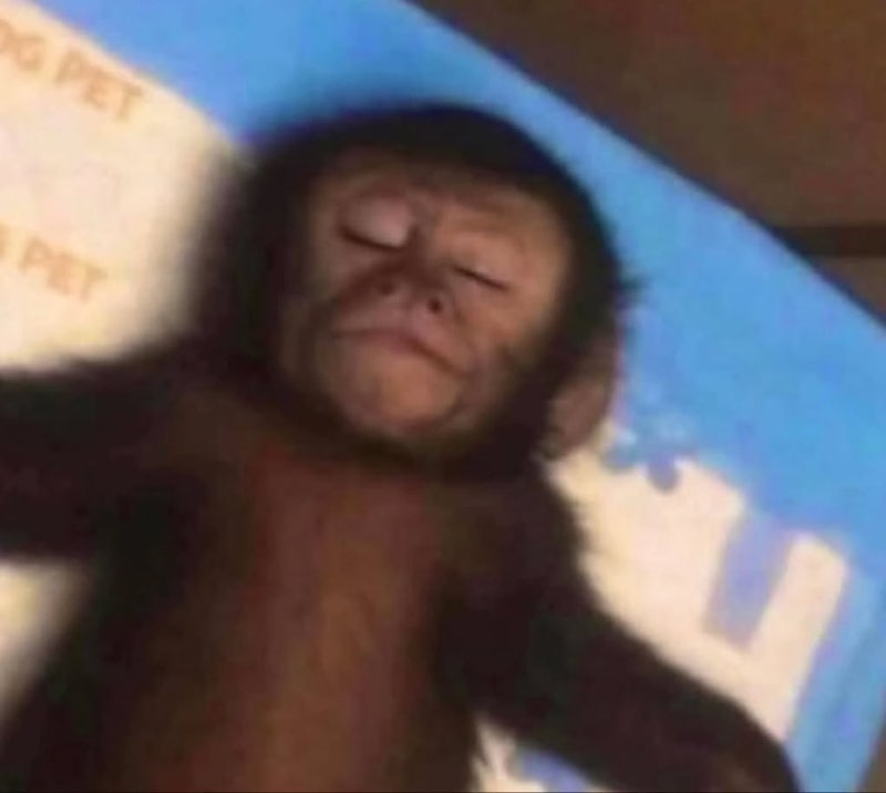 런잇콘.. 그리고 디스앤댓 활동 후기..