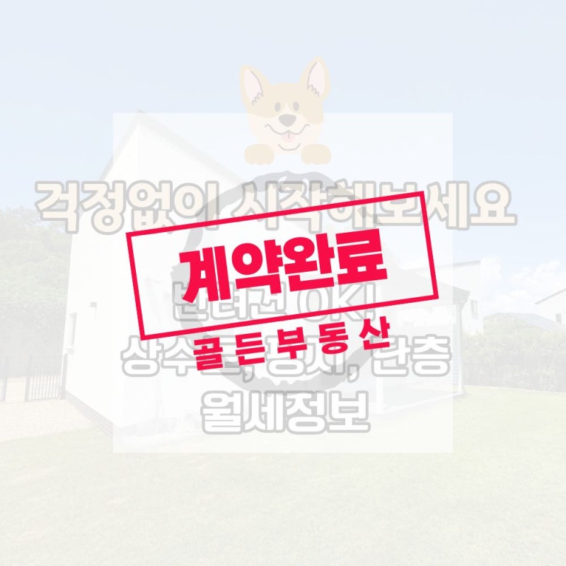 양평 전원주택 월세｜반려견도 OK! 한번 살아보고 결정하세요