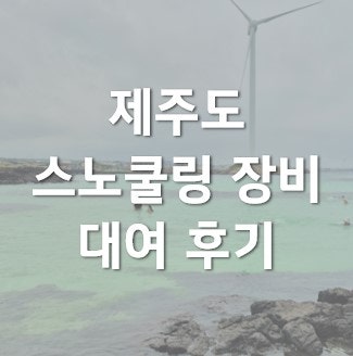 제주 코난비치 스노쿨링 후기/ 세기알 해변 근처 예쁜 구명조끼 있던 대여점 발견