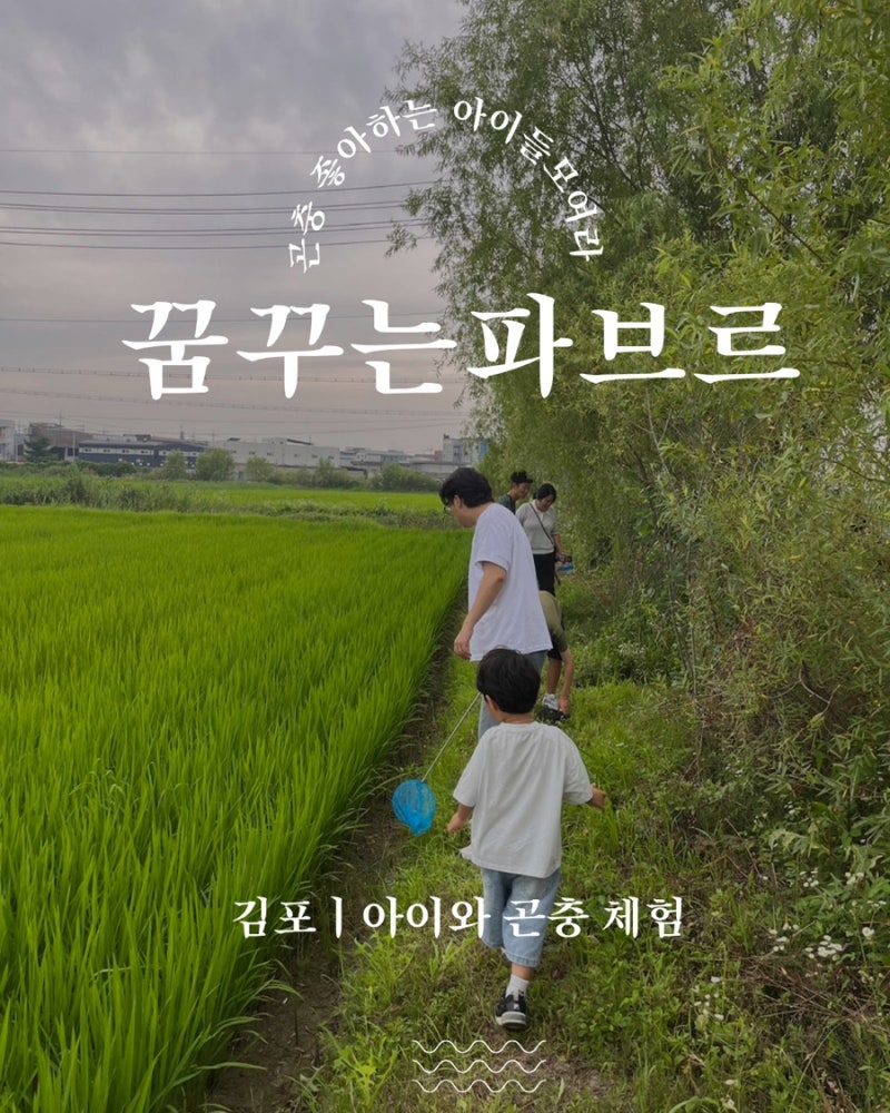 곤충 좋아하는 아이들과 가볼만한곳 김포 꿈꾸는파브르 더 도슨트 곤충체험