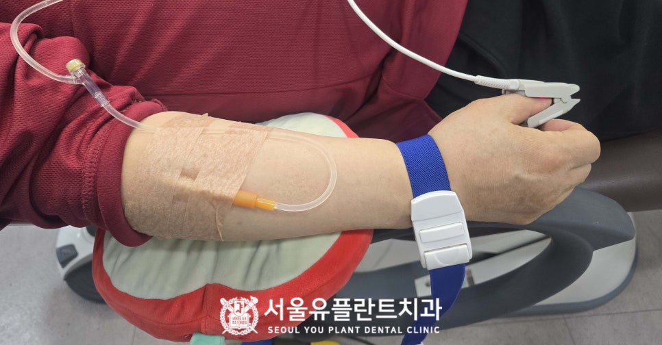 진정 사진 4