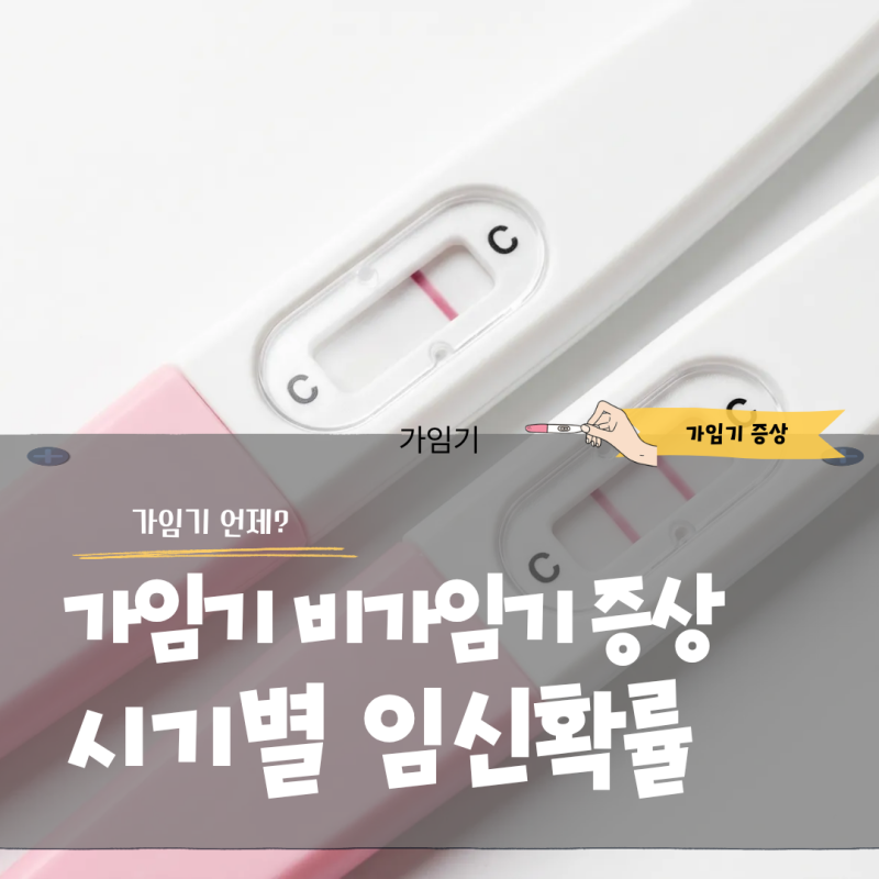 가임기 비가임기 증상 체크와 시기별 임신확률 총정리