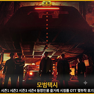 모범택시 시즌1 시즌2 시즌3 시즌4 등장인물 줄거리 시청률 OTT 몇부작 후기