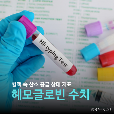 헤모글로빈 정상수치, 낮으면 증상 및 빈혈 원인, HB 높이는법은?