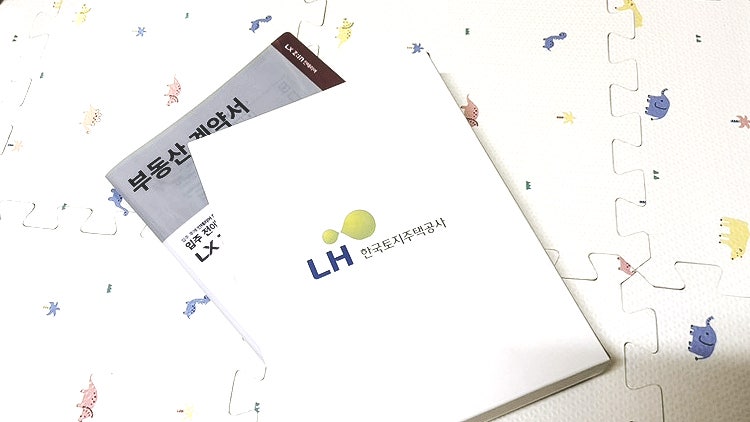 LH 2025 전세임대형 든든주택 2순위 당첨 후기 | 매물 찾기부터 계약까지 후기 (예비신혼부부 ....