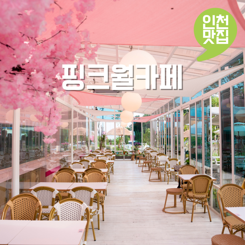 인천 영종도 애견동반 카페 을왕리 베이커리 핑크월카페 데이트코스 가볼만한곳